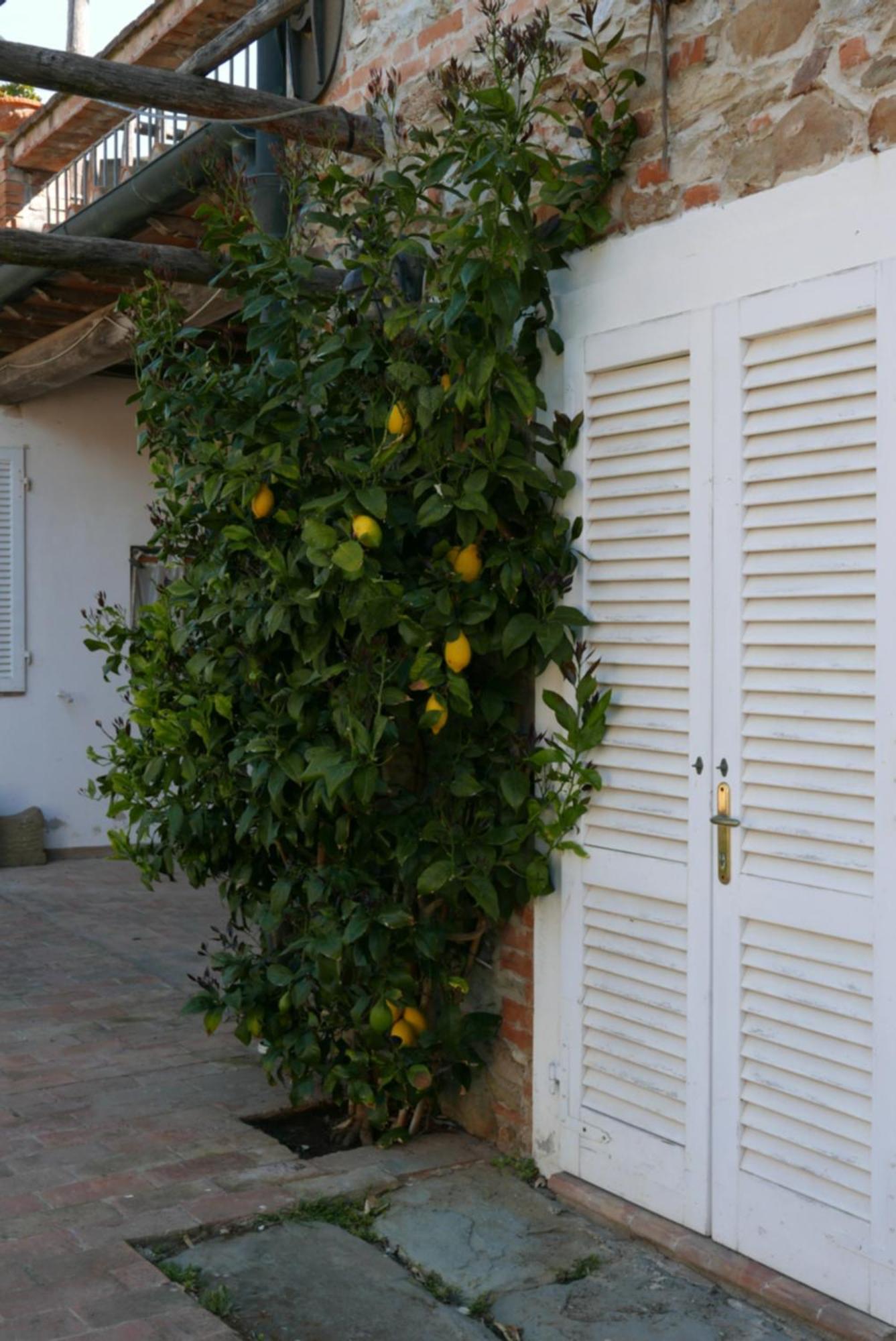 Agriturismo Baratti Exterior photo