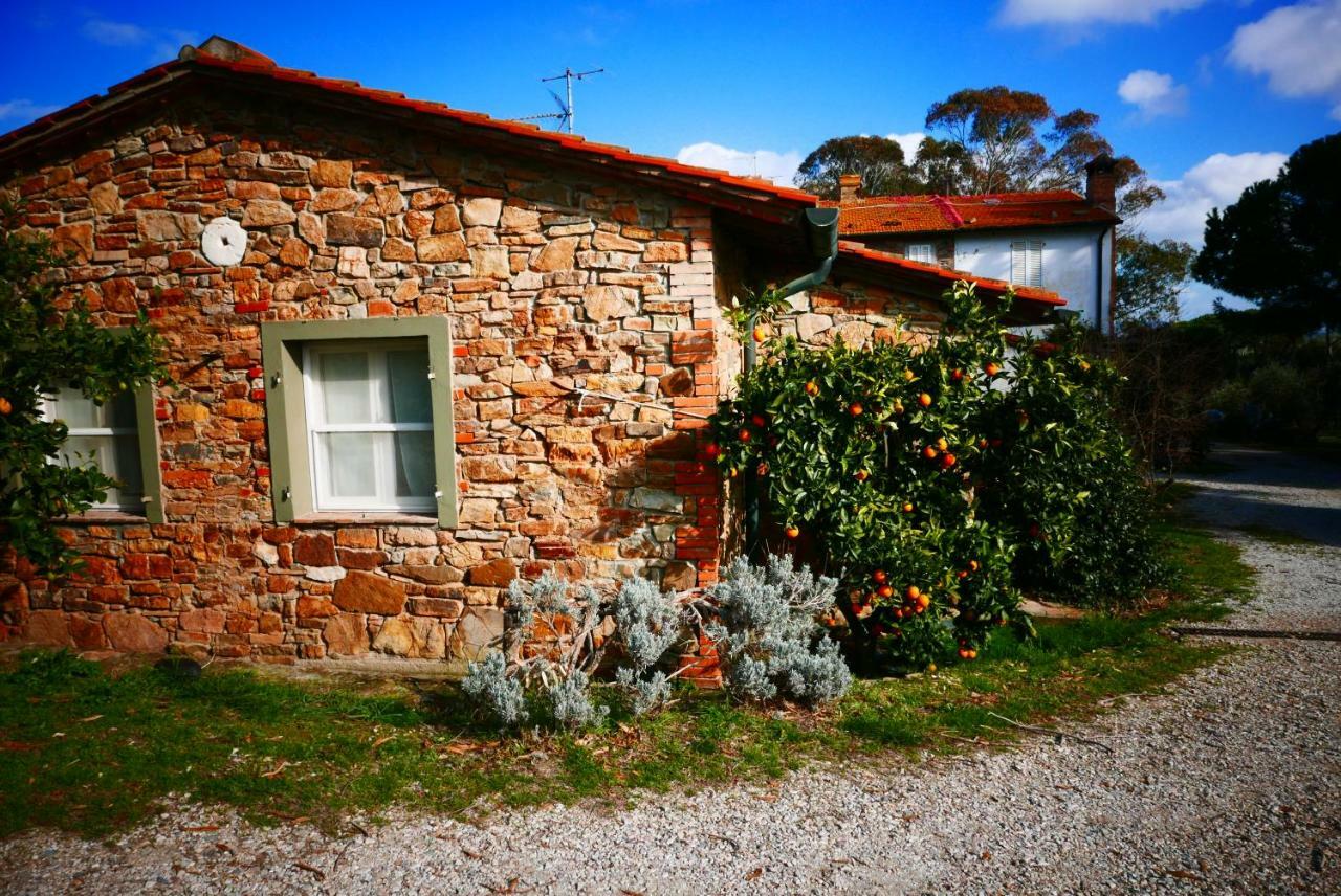Agriturismo Baratti Exterior photo