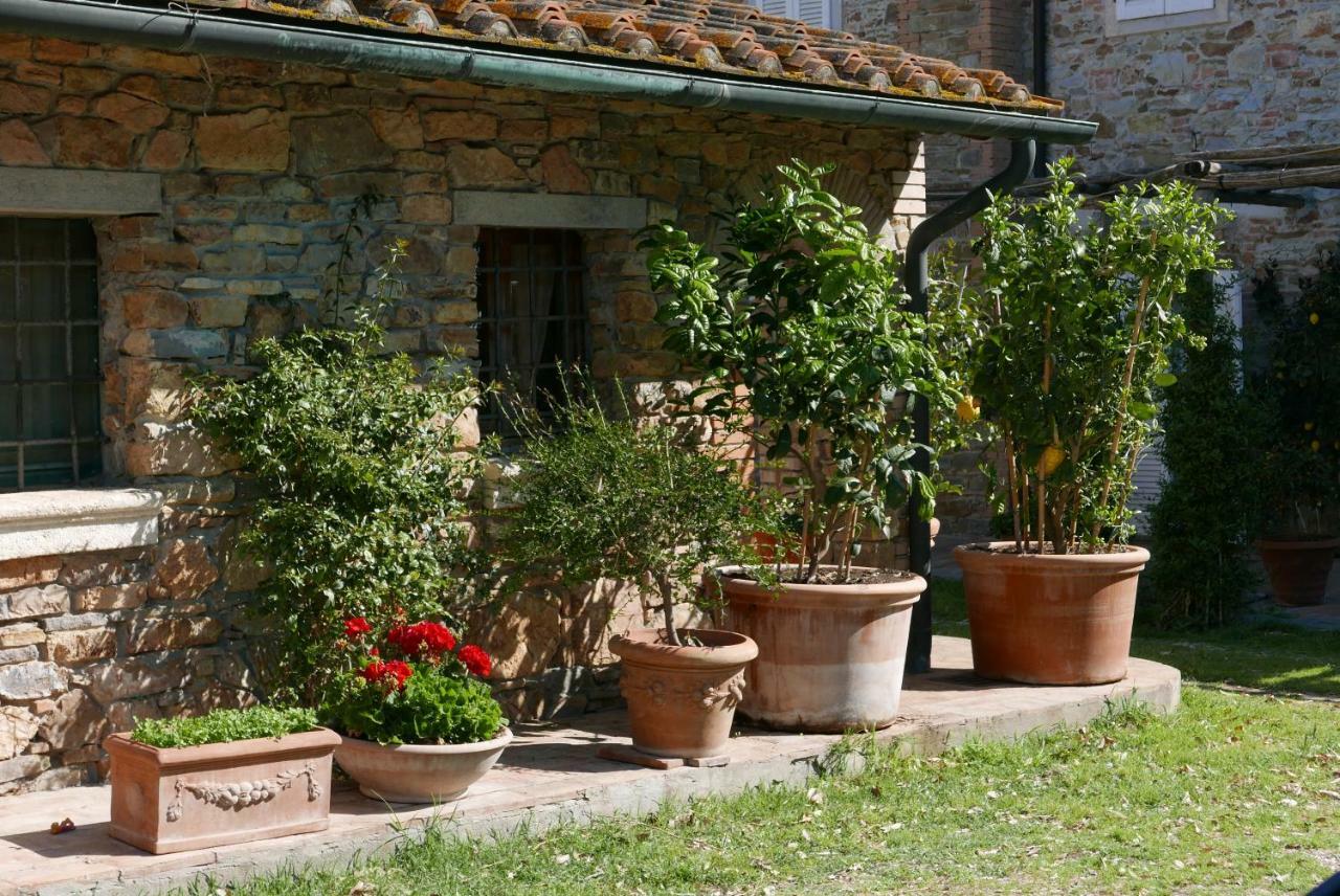 Agriturismo Baratti Exterior photo