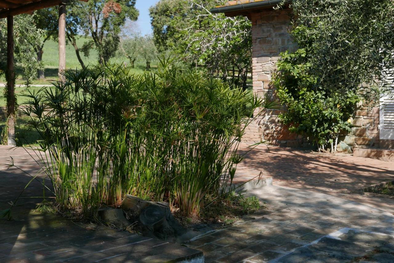 Agriturismo Baratti Exterior photo