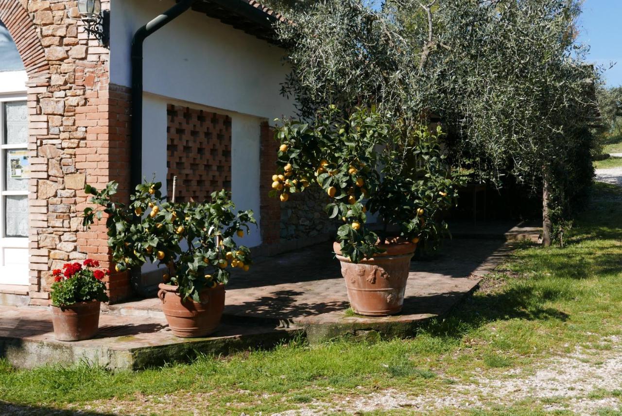 Agriturismo Baratti Exterior photo